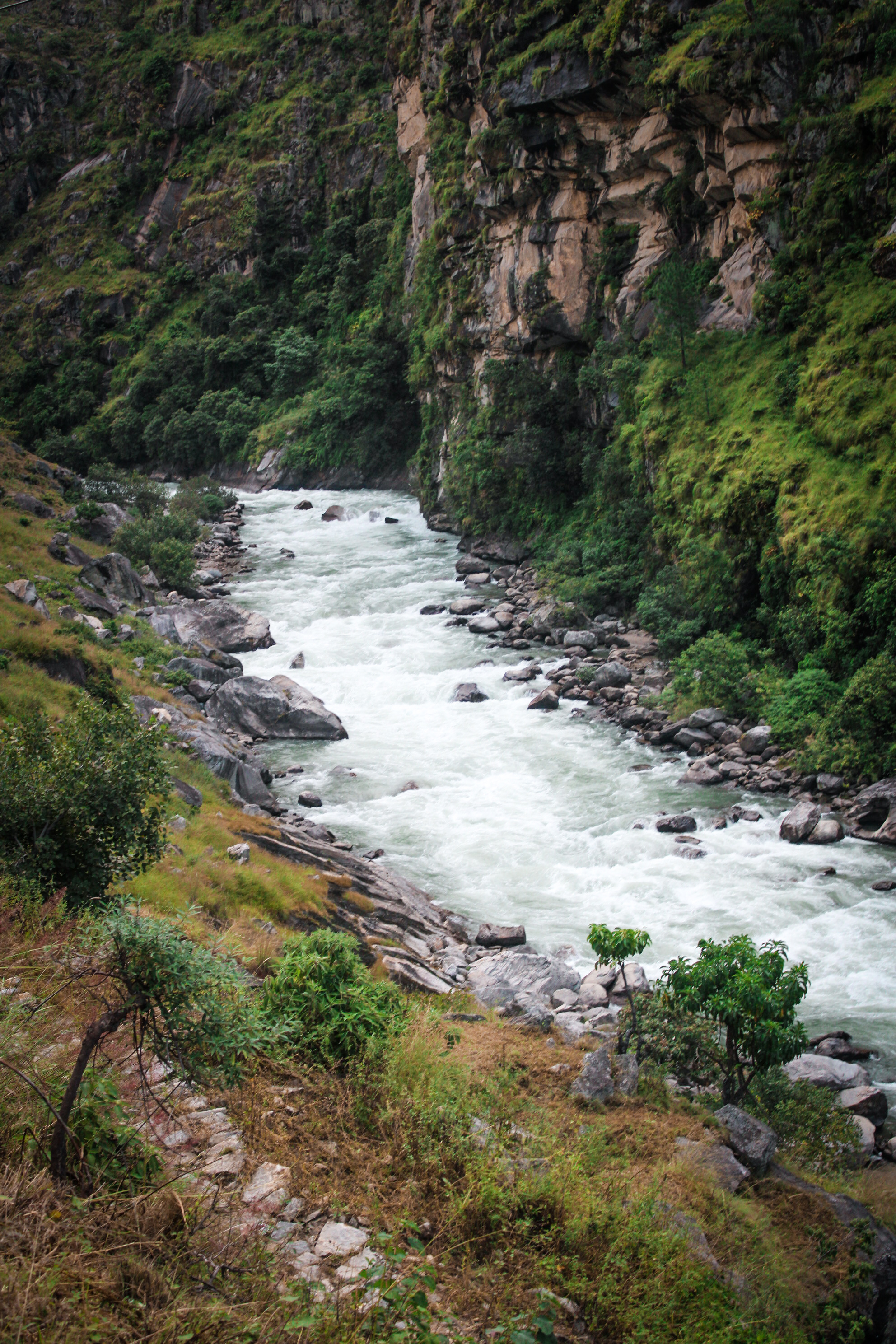 Portrait Photography